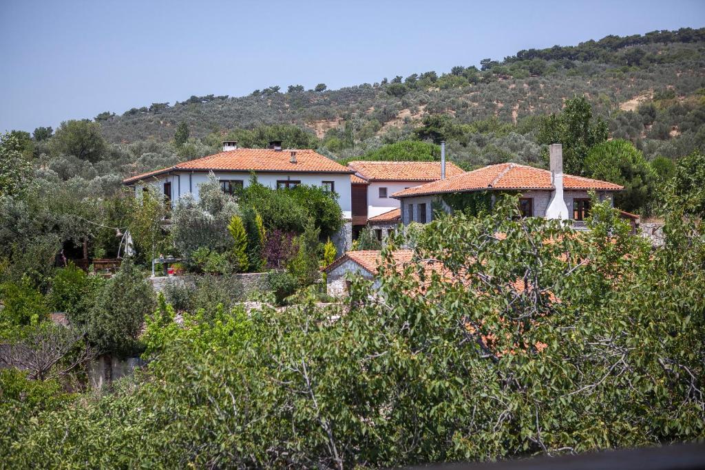 Gure Zeytinbagi Hotel מראה חיצוני תמונה